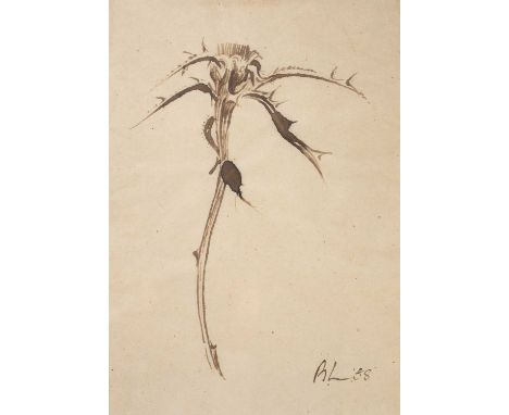 ARR Bernard Howell Leach (1887-1979)Study of a Thistlesigned and dated lower right '58pen and ink23cm x 16cm
