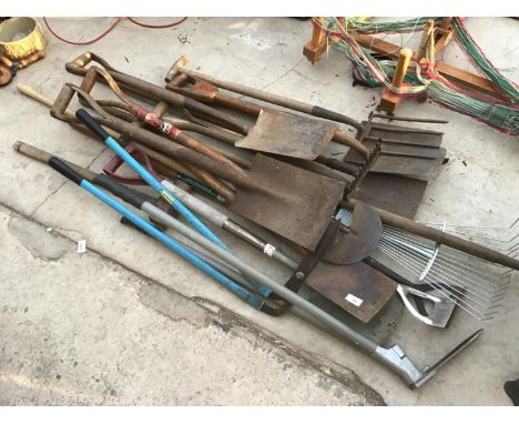 A LARGE COLLECTION OF TOOLS, SOME VINTAGE, TO INCLUDE SPADES, FORKS, HOES, SHEARS ETC 