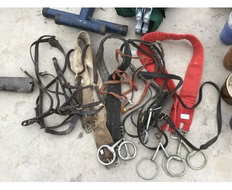 VARIOUS ITEMS OF HORSE TACK TO INCLUDE GIRTHS, LEATHER HEAD COLLAR, BRIDLE, LOOSE RING AND EGGBUTT SNAFFLE BITS ETC 