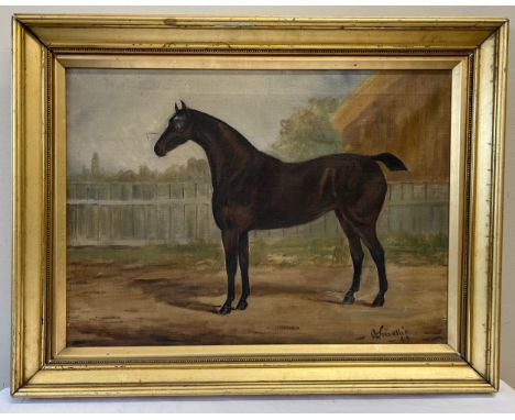 A 19thC oil on canvas horse portrait 39 x 55cm sight size in gilt frame, inscribed L.R.Condition ReportTear to canvas.