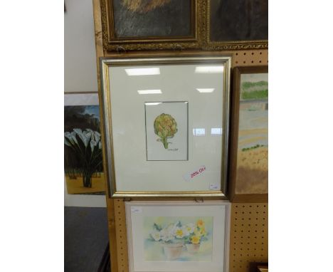 Watercolour on Velum 'Globe Artichoke' Kathleen Wood
