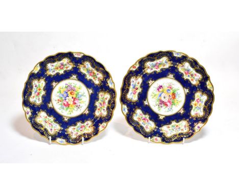 A pair of Royal Worcester floral painted plates, with a blue scale ground, 23cm diameter . Each with some paint scratches. 