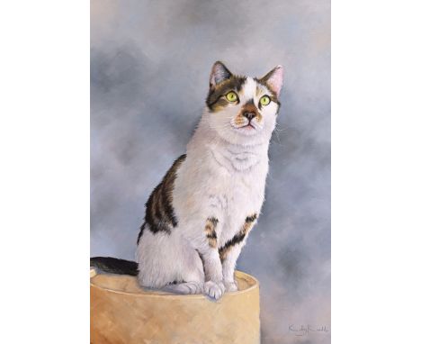 Kathy Rondel (Jersey b. 1948), Portrait of a Tortoise Shell Cat. * oil on canvas, signed lower right, unframed. * 27½ x 19¾in
