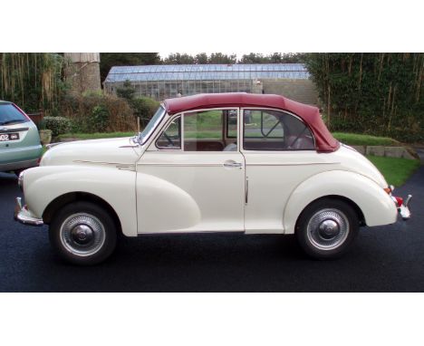 A 1960 Morris Minor Convertible, cream paintwork with red pinstripe, contrasting red interior and bordeaux red convertible ro