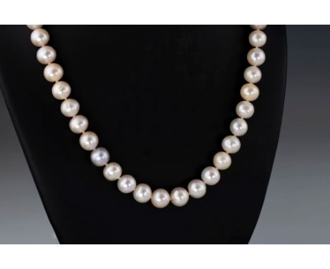 A single strand freshwater pearl necklace, the 8mm. pearls of variable tone from pale gold, through light grey to soft pink, 