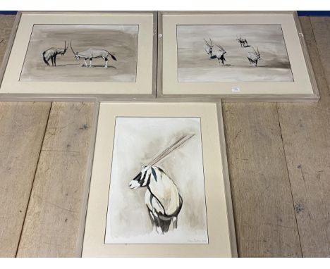 CLAIRE SANDERS, Watercolour, set of 3 of Ibex, signed in pencil lower right, framed and glazed, 36 x 52.5 cm approx, one slip