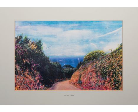 Harold Riley (British, b.1934), 'Cottage Wall, Guernsey', mixed media - print with handpainted embellishment, signed and date