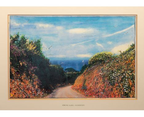 Harold Riley (British, b.1934), 'Spring Lane, Guernsey', mixed media - print with handpainted embellishment - signed 'Riley' 