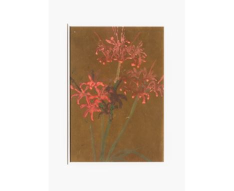 William John Caparne (British, 1856-1940), 'Nerines', watercolour on gold paper, signed and inscribed verso, 12 5/8 x 8¾in. (