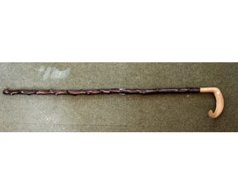 Horn handled walking stick with hawthorn cane