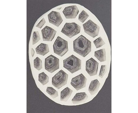 DILYS JACKSON (b. 1938) bronze dusk/ink on cut paper - 'Small Pollen Form', 38 x 28cmsProvenance: donated to aid City Hospice