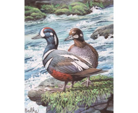 Don Balke (North Carolina, B. 1933) "Harlequin Duck" Signed lower left. Original Watercolor on Illustration Board. Provenance