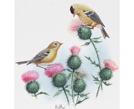 Don Balke (North Carolina, B. 1933) "Goldfinch" Signed lower left. Original Watercolor on Illustration Board. Provenance: Col