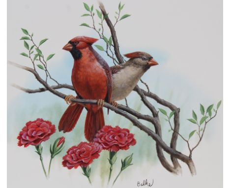 Don Balke (North Carolina, B. 1933) "Cardinal and Red Carnation" Signed lower right. Original Watercolor painting on Illustra