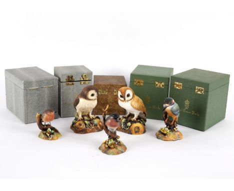 A collection of five Royal Crown Derby figures of birds, kingfisher and bullfinch by K Wood, brown owl and robin initialled M