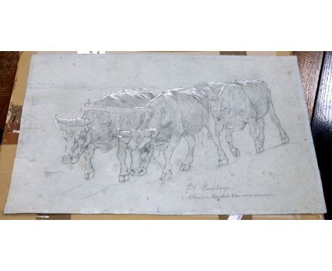 John-Lewis Shouborn (1852-1931)/Study of an Ox/pencil heightened in white, 31cm x 47.5cm