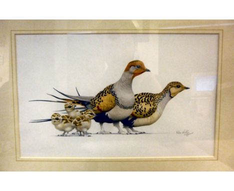 K Lilly - a study of a pair of partridges and three chicks  watercolours  bears a pencil signature  8'' x 13'' in a glazed gi