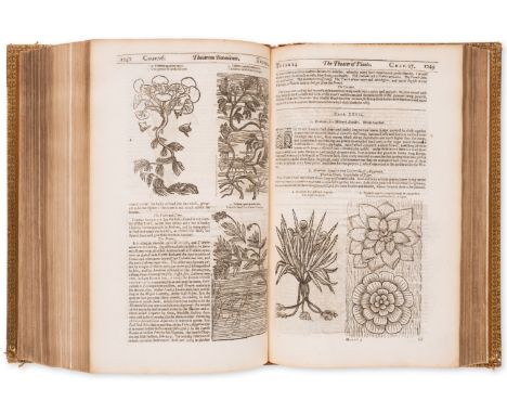 Botany.- Parkinson (John) Theatrum Botanicum: The Theater of Plants, or, an Herball of a Large Extent...,, first edition, add
