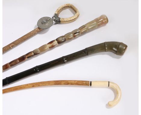 Walking sticks, to include an Indian horn example, a snake skin shooting stick, another horn example and a bulls penis cane, 