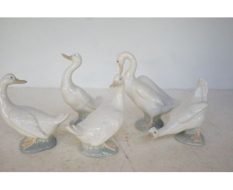 5 Nao geese 