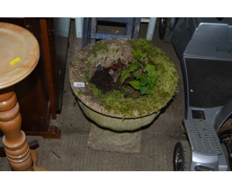 A concrete garden planter raised on plinth