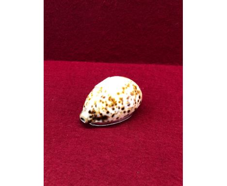 A GEORGE III SILVER MOUNTED COWRIE SHELL SNUFF BOX,  ATTRIBUTED TO ROBERTSON AND WALTON, NEWCASTLE, THE LID WITH PRESENTATION
