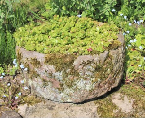 * A circular sandstone trough, 22cm H x 48cm D 