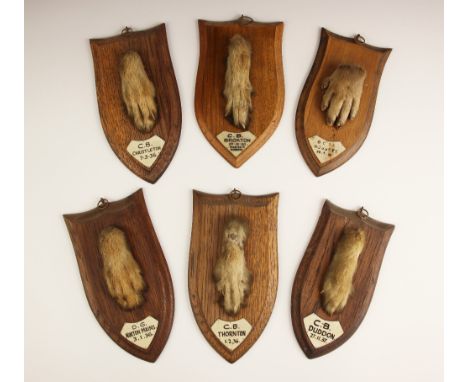 TAXIDERMY: A shield-mounted otter's paw hunting trophy, early 20th century, with applied ivorine plaque inscribed 'Rossett 28