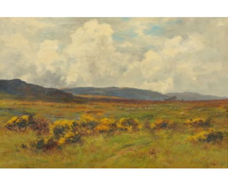 Josiah Clinton Jones (1848-1936), oil on canvas "Moorland Pasture".  36 cm x 53 cm, framed, signed.  Note verso in pencil Liv