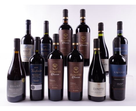 12 BOTTLES ARGENTINIAN AND BRAZILIAN RED WINEJolimont Pinot Noir Reserva 2021; Susana Balbo 2 x M+S Collection Tradición Malb