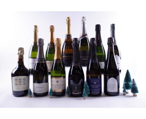 12 BOTTLES ENGLISH SPARKLING WINEFitz Brut; The Bolney Estate Classic Cuvée Brut NV; Furleigh Estate Blanc de Blancs 2016; Ev