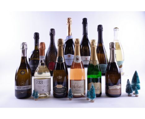 12 BOTTLES SPARKLING WINEVenetian Hills Pinot Grigio 2021; Cantina Montecchía di Crosara 733 Lessini Durella Brut; Casali Ca'