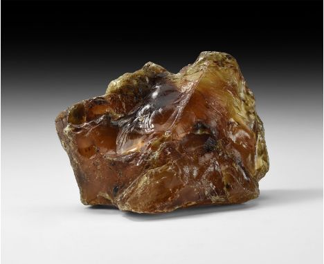 Oligocene Period, 45 million years BP. A very large irregular block of natural amber with vegetation and other(?) inclusions.