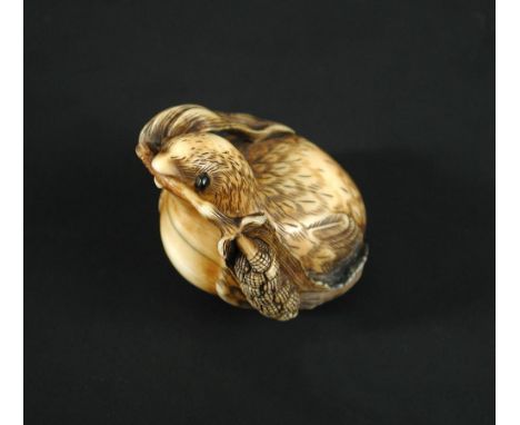 Anraku, a 19th century marine ivory netsuke carved as a quail with inlaid eyes and a stem of millet in its beak, signed, 4.5c