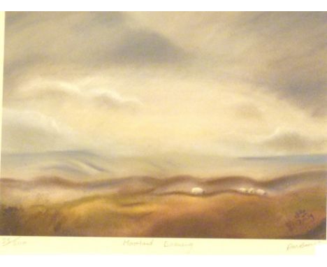 MOORLAND EVENING PRINT. Moorland Evening limited edition print 25/500 signed D M Barnes