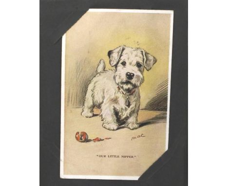 Album of illustrated animal postcards. P&amp;P Group 1 (£14+VAT for the first lot and £1+VAT for subsequent lots) 