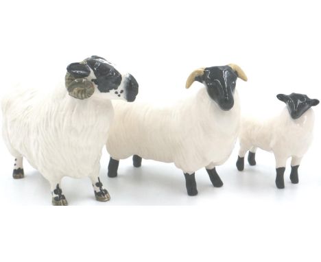 Three Beswick family of sheep, largest H: 90 mm, no cracks or chips. P&amp;P Group 1 (£14+VAT for the first lot and £1+VAT fo