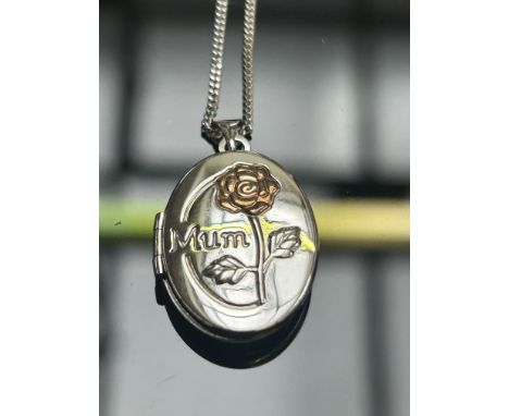 Silver necklace & lock 925/375