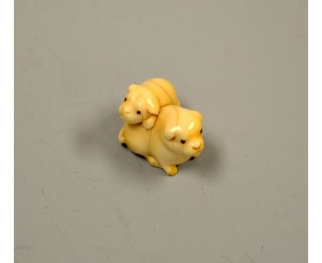 A CARVED IVORY NETSUKE, in the form of two pugs, approximately 3.5cm x 3cm high