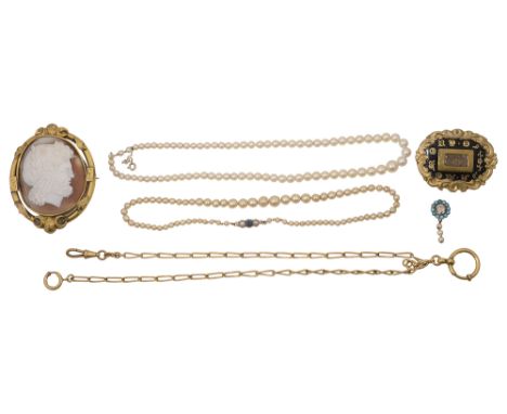 Two 19th century brooches:an oval cameo brooch of a head of a warrior or a god within an ornate mount (a/f); an oval black en