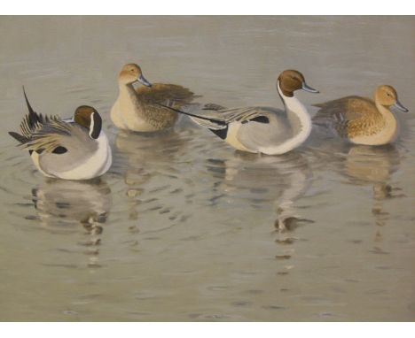 JULIAN NOVOROL "Two pairs of Teal", oil on canvas, signed and dated 1989 bottom left   CONDITION REPORTS  These are Pintail n