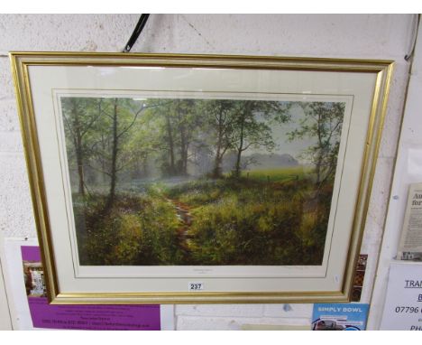 Signed L/E print by David Dipnall - Morning Bluebell's