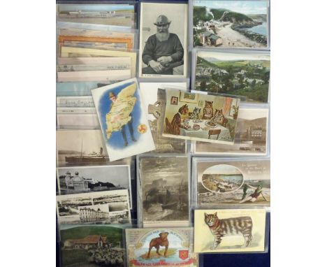 Postcards, Isle of Man, ferry scenes, ships (16) inc. artist drawn coloured comic, Louis Wain 'Manx Kippers for Tea' w.a.f, M