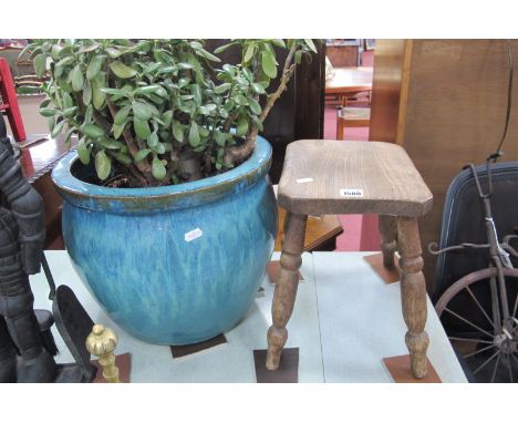 Money Plant in Glazed Pottery Planter; together with country made soft wood stool on splayed turned legs, 34.5cm wide, (woodw