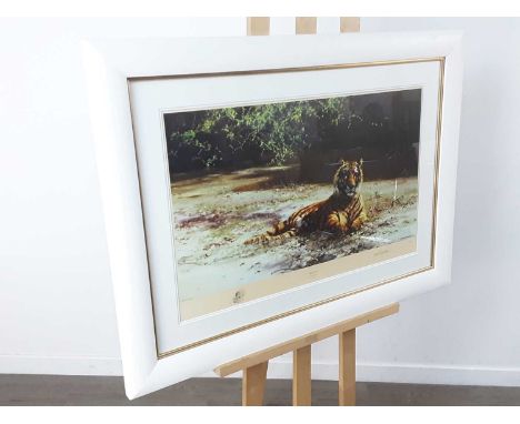 DAVID SHEPHERD,INDIAN SIESTA,limited edition print on paper, signed, titled and numbered 796/1300,overall size 77cm x 107cm,M