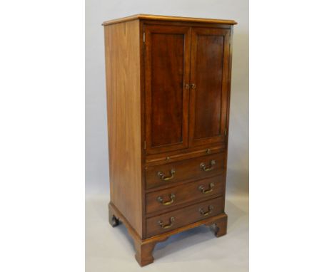 A 19th Century Mahogany Side Cabinet/Collectors' Cabinet, the moulded top above two panelled doors enclosing seven drawers wi