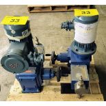 (2) 2019 J2-20/10.0 METERING PUMPS