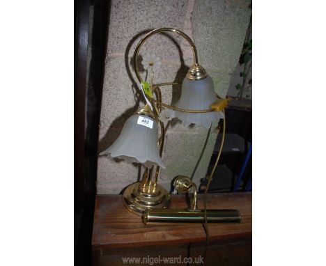 Brass picture light and table lamp.