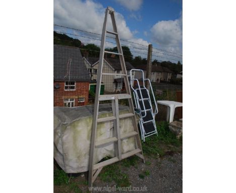 Aluminium seven rung fruit ladder, a/f.