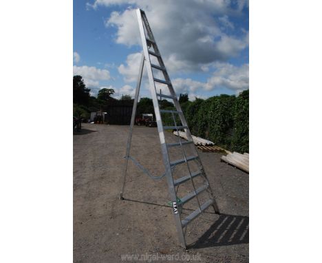 An eleven rung Fruit picking ladder by Lyte Ladders &amp; Scaffold, (new).